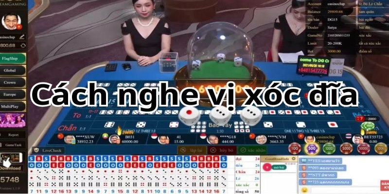 Vị xóc đĩa là gì? 