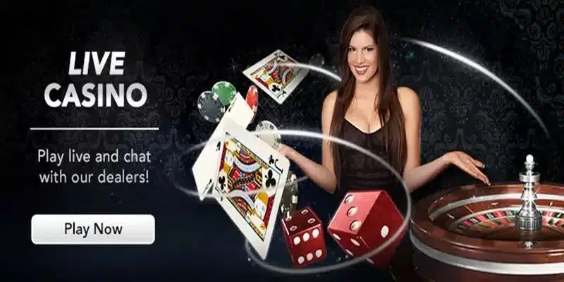 Casino Miso88 là một trong những sảnh chơi chất lượng